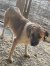 128 | Rusty | Bild 6/9