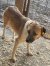 128 | Rusty | Bild 5/9
