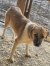 128 | Rusty | Bild 8/9