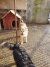 138 | Fluffy | Bild 7/10
