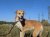 7 | Sahara | Bild 15/22