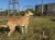 7 | Sahara | Bild 8/22