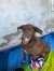 156 | Eywa | Bild 2/8