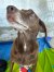 156 | Eywa | Bild 4/8