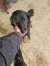 173 | Kasimir | Bild 3/5
