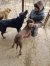 179 | Thor | Bild 4/7
