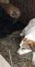254 | Candy | Bild 4/6