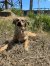 258 | Chayenne | Bild 10/13