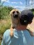 259 | Floyd | Bild 2/14