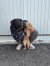 259 | Floyd | Bild 12/14