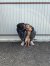 260 | Mathilda | Bild 10/14