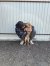 260 | Mathilda | Bild 12/14