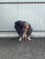 260 | Mathilda | Bild 13/14