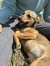 260 | Mathilda | Bild 3/14