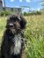 261 | Murphy | Bild 2/14