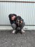 261 | Murphy | Bild 13/14