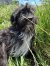 261 | Murphy | Bild 3/14