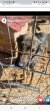 262 | Mara | Bild 2/8