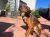 287 | Cooper | Bild 3/10