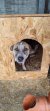 307 | Yuma | Bild 9/10