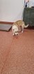23 | Maylo | Bild 8/11