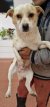 23 | Maylo | Bild 11/11