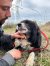 326 | Peppo | Bild 13/22