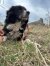 326 | Peppo | Bild 19/22