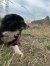 326 | Peppo | Bild 16/22