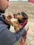 328 | Sissi | Bild 10/15