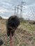329 | Jule | Bild 3/13
