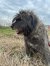 329 | Jule | Bild 2/13