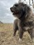 329 | Jule | Bild 4/13