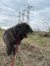 329 | Jule | Bild 6/13