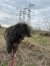 329 | Jule | Bild 11/13