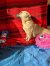 332 | Tiffy | Bild 3/8