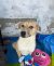 333 | Shirin | Bild 4/9