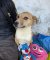 333 | Shirin | Bild 2/9