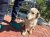 40 | Kasper | Bild 9/9