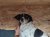 45 | Ayla | Bild 3/3