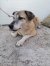 54 | Gretchen | Bild 3/9