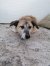 54 | Gretchen | Bild 2/9