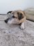 54 | Gretchen | Bild 4/9