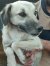 61 | Phoebe | Bild 2/3