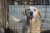 77 | Hope | Bild 4/9