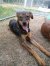 81 | Freya | Bild 3/11