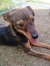 81 | Freya | Bild 2/11