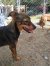 81 | Freya | Bild 8/11