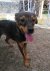 81 | Freya | Bild 4/11
